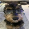 Argoss2004's avatar