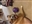 FlickerBeat's avatar