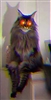 velt321's avatar