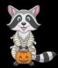 SpookyRaccoon's avatar