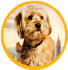 CavemanJack's avatar