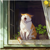 wompwompwooomp's avatar