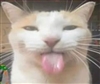 Silly_Bones's avatar