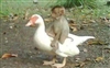 Sushkip's avatar