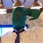 Potato___'s avatar