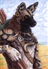 TanookiGames13000's avatar