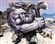 5dntmgvhq9's avatar