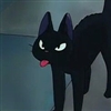KnoxArlo's avatar