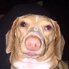 Luch4Life's avatar