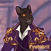 Pywhakett's avatar