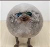 CtheJust's avatar