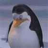 AnAttempted's avatar