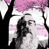 dtheriault's avatar