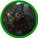 Marty_Ruark's avatar
