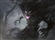 Greywolf56's avatar