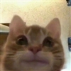 Mozzie_yeet's avatar