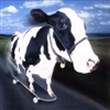 starb3rry's avatar
