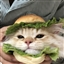 MKizMK's avatar