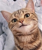 EgoAcid90244's avatar