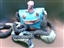 TheLeelWheel's avatar