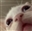 DarkkRepulser's avatar