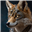 CyberCoyote's avatar