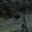Qstro_Bqbe's avatar