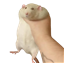 j3pepper's avatar