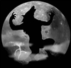 steppen's avatar