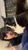 katieisonMars's avatar