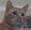 Dragon11342's avatar