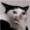 Gremlinz_0's avatar