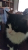 DouglasSpooner's avatar