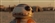 Droidmaster754's avatar