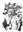 TheBlueWolfIdealist's avatar