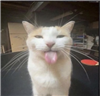 mrsfridge's avatar