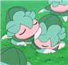 orchidlurantis's avatar