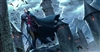 rorym763's avatar