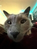 DM_Beattie's avatar