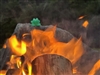 DandelionsandTeeth's avatar