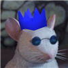 whitexbread's avatar