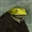 Mononymous's avatar