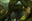 Claugiyliamatar_xXxGnawbonesxXx_'s avatar