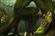 Claugiyliamatar_xXxGnawbonesxXx_'s avatar