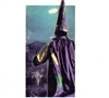 samwisethekindagreat's avatar