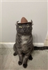 evilmischiefcat's avatar