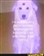 LeonKung's avatar