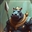 ozziebruce's avatar