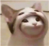 ElizabethTM13's avatar
