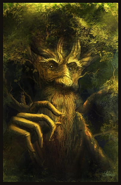 Circle Of The Grove Image